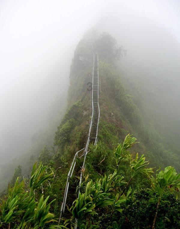 未知的岛屿