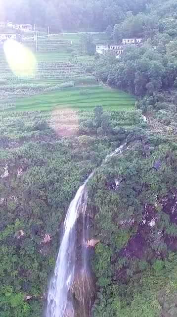 碳酸氢铵种大蒜一亩地用多少斤？
