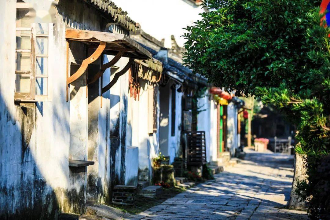 逃离无人大住宅